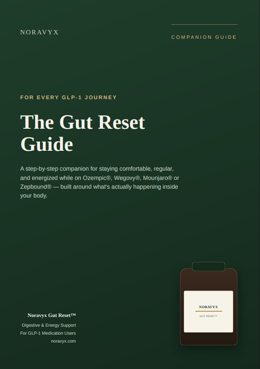 Noravyx_Gut_Reset_Guide