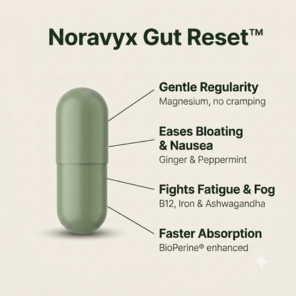 Noravyx Gut Reset™